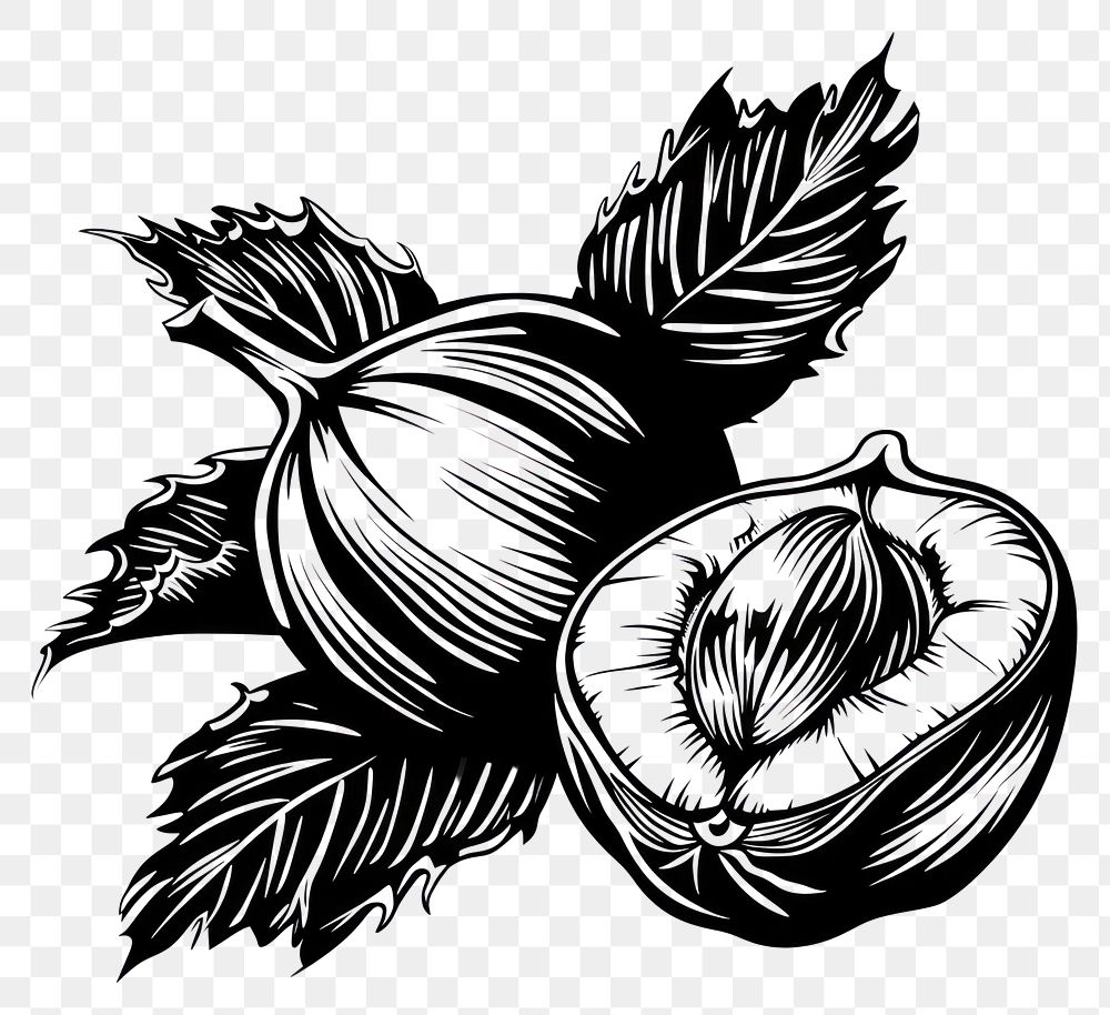 PNG Hazelnut tattoo flat illustration illustrated drawing produce.