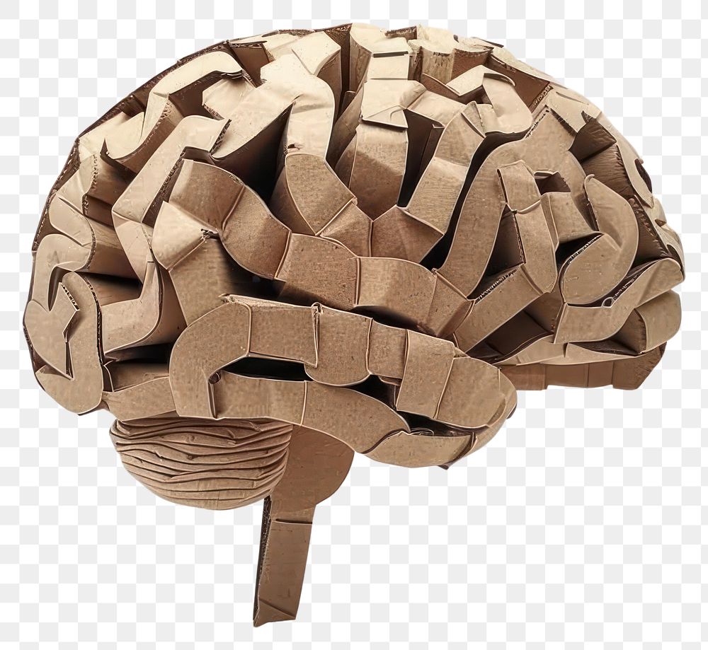 PNG Brain made with cardboard clothing plywood apparel.