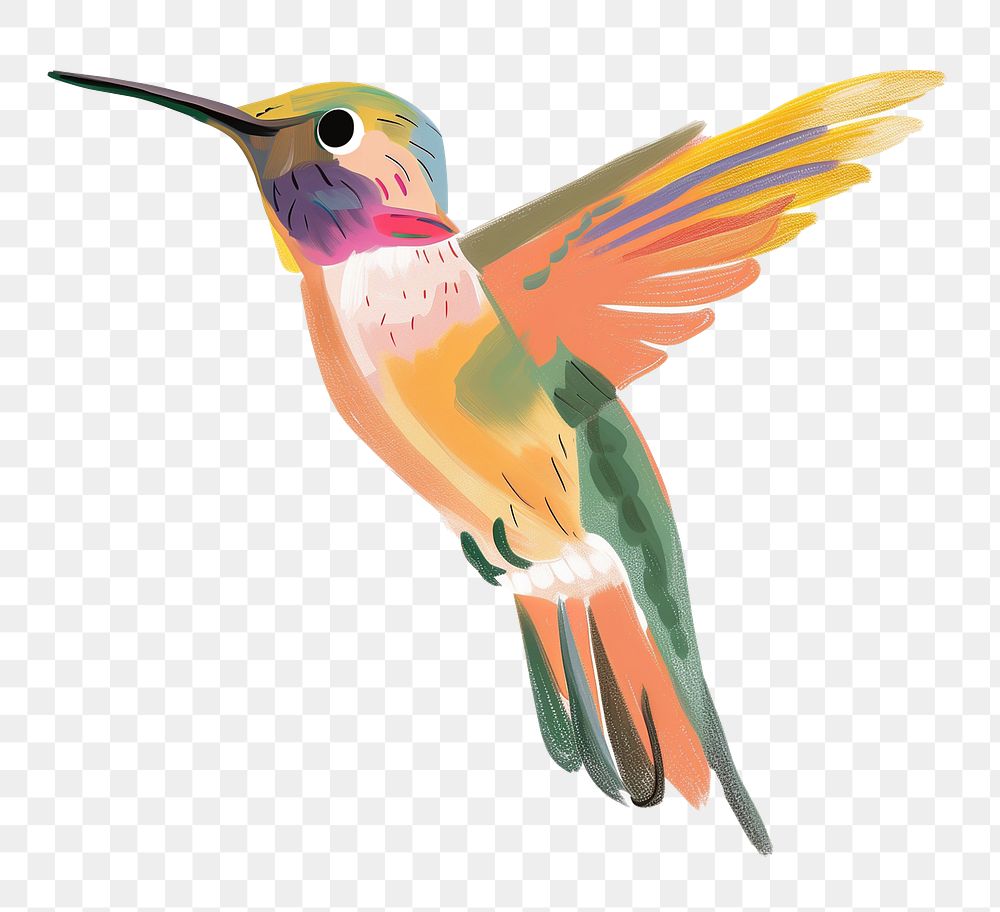 PNG Hummingbird illustration, transparent background