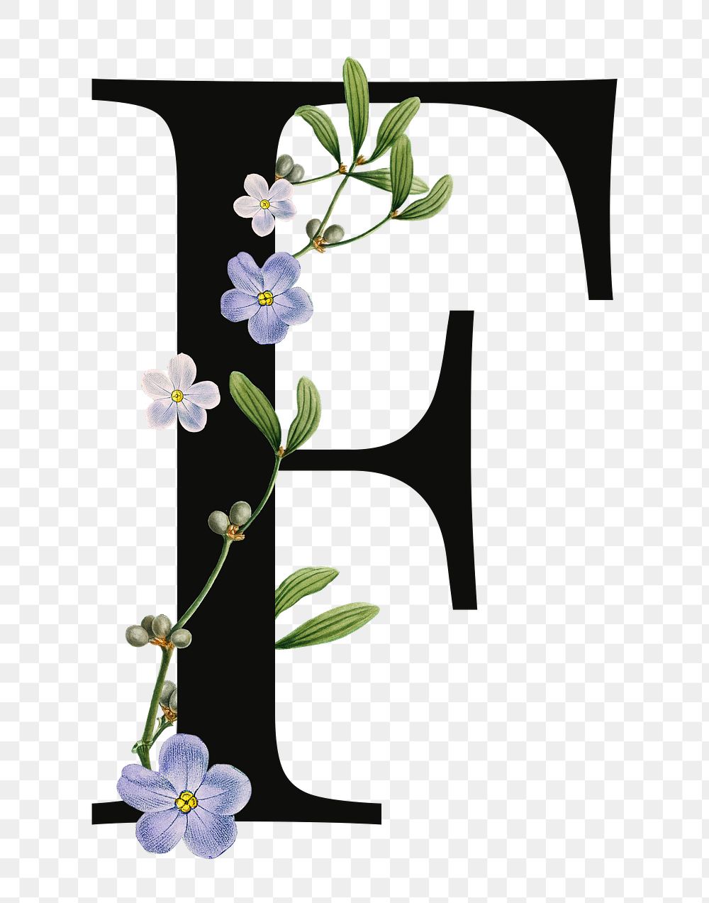 PNG Letter F floral font, transparent background
