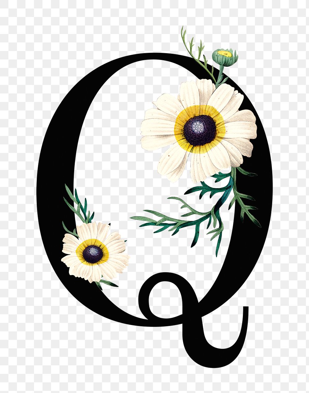 PNG Letter Q floral font, transparent background