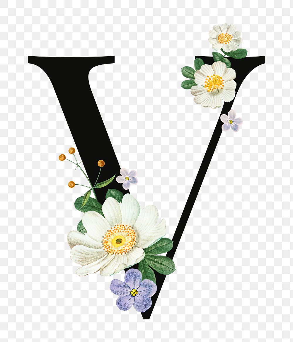 PNG Letter V floral font, transparent background