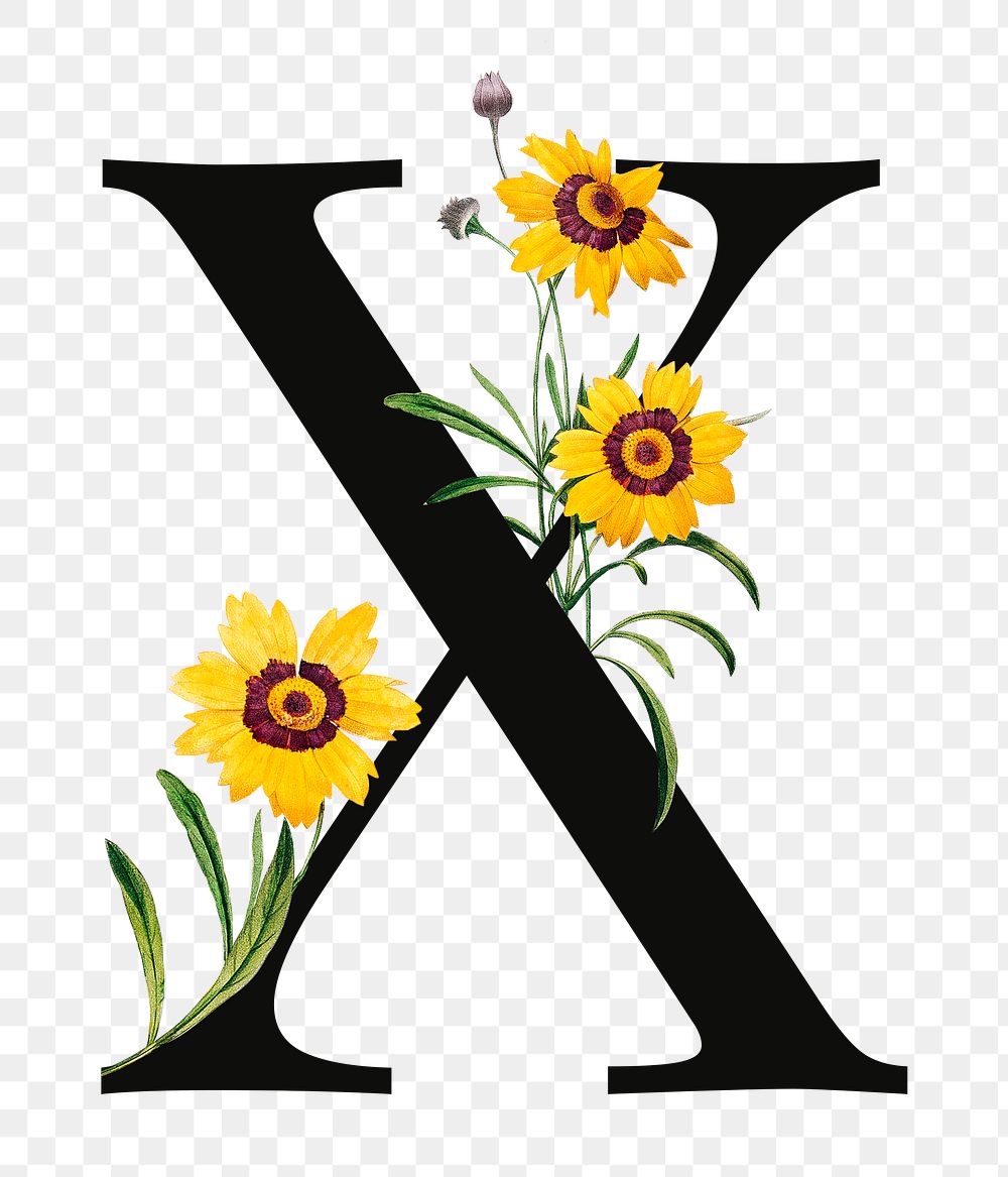 PNG Letter X floral font, transparent background