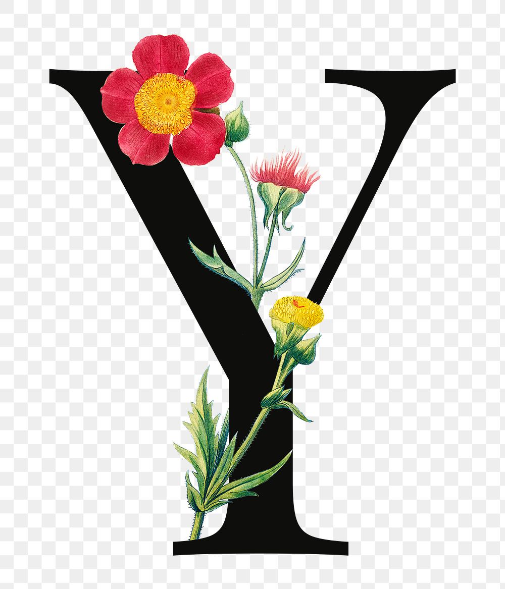 PNG Letter Y floral font, transparent background