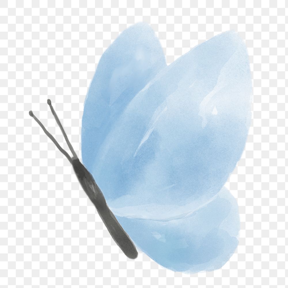 Blue butterfly png watercolor animal, transparent background
