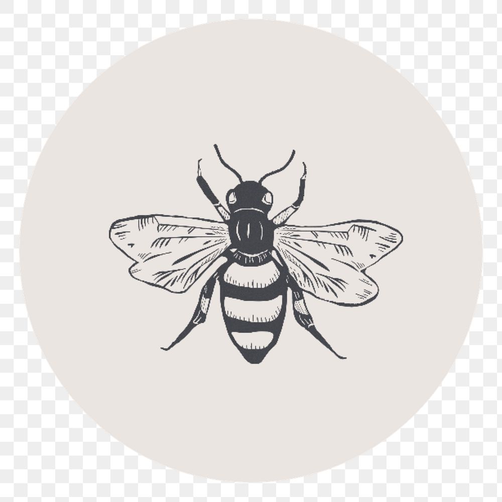 PNG bee IG story cover template, transparent background