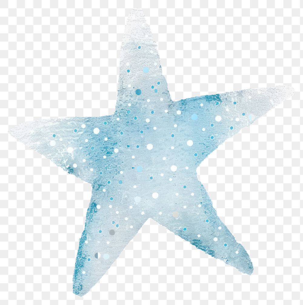 PNG Clean light blue star glitter outdoors animal nature.