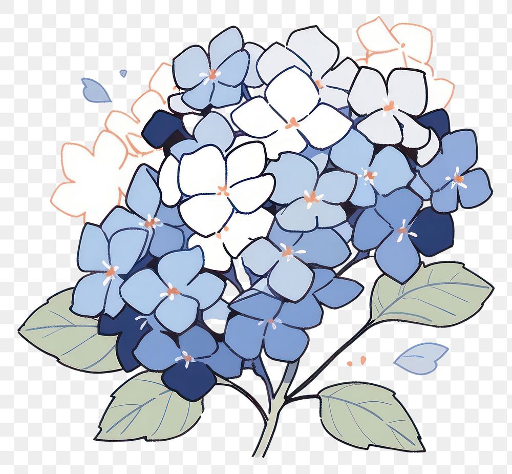 PNG Hydrangea flower illustrated blueberry graphics.