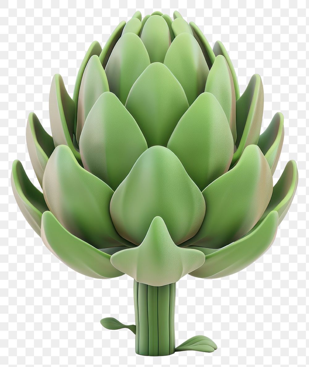 PNG Green artichoke vegetable illustration