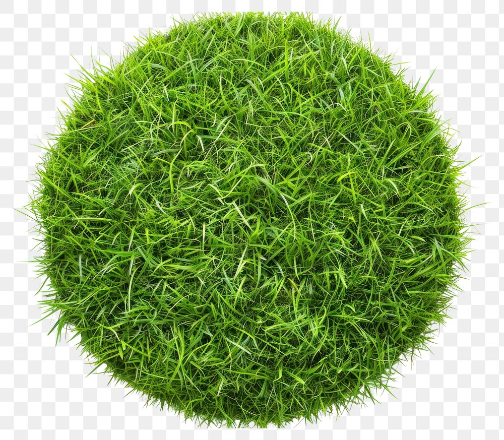 PNG Circular lush green grass