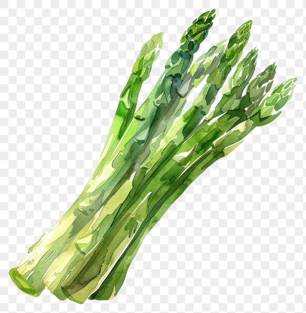 PNG Aaparagus asparagus vegetable produce.