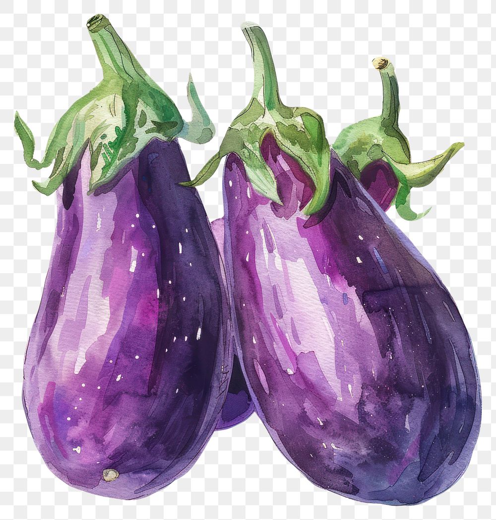 PNG Brinjal vegetable eggplant produce.