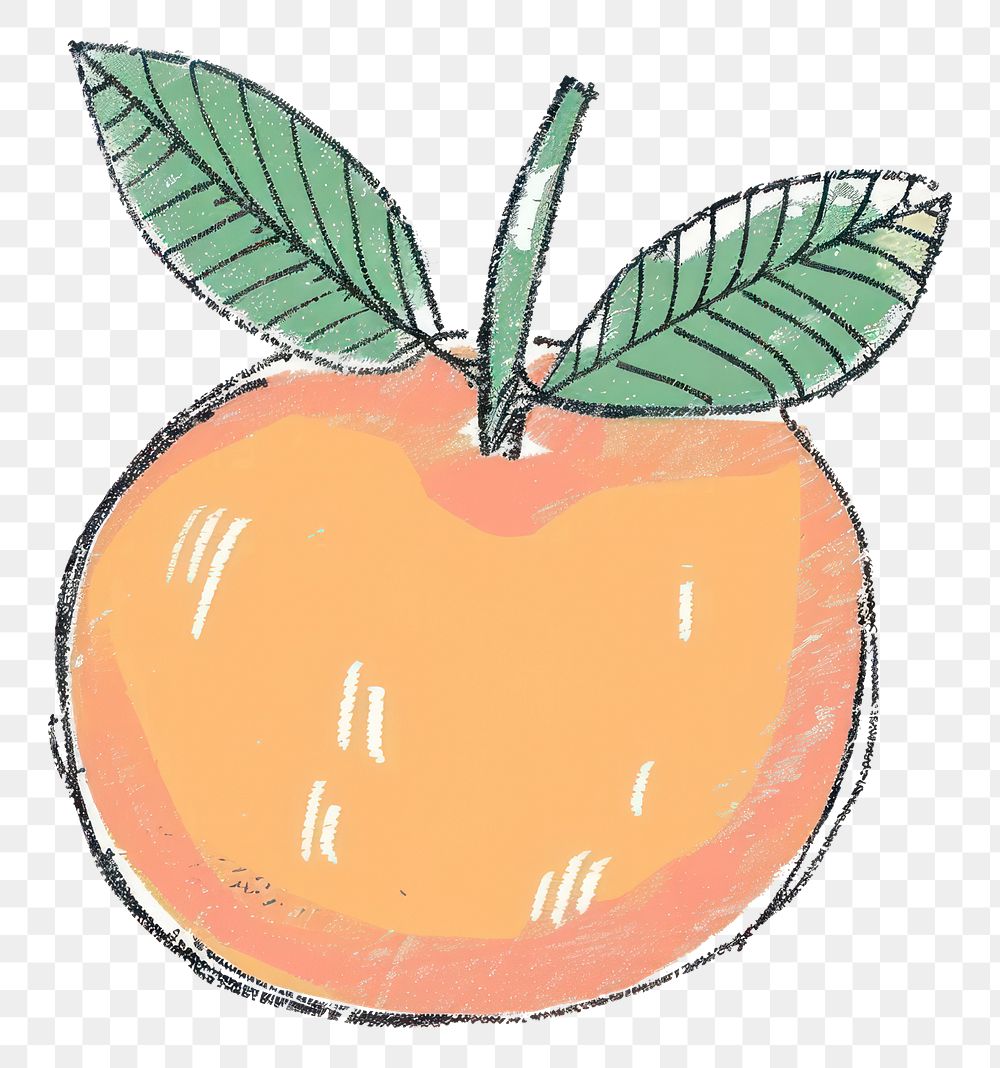 PNG Hand-drawn peach with leaves