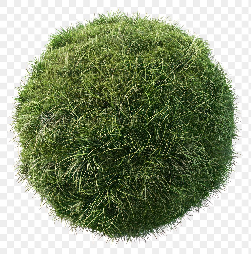 PNG Spherical lush green grass ball