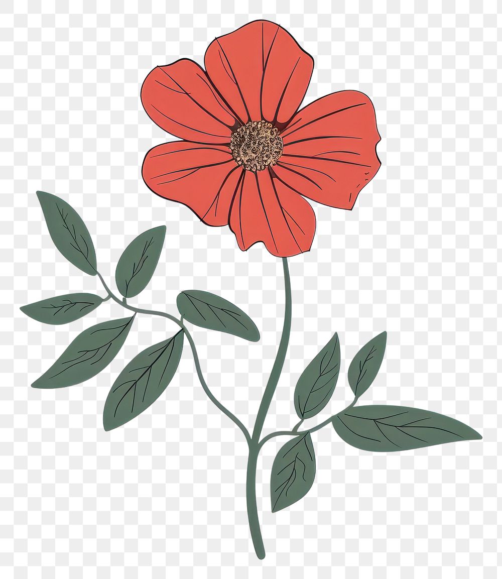 PNG Elegant red flower illustration