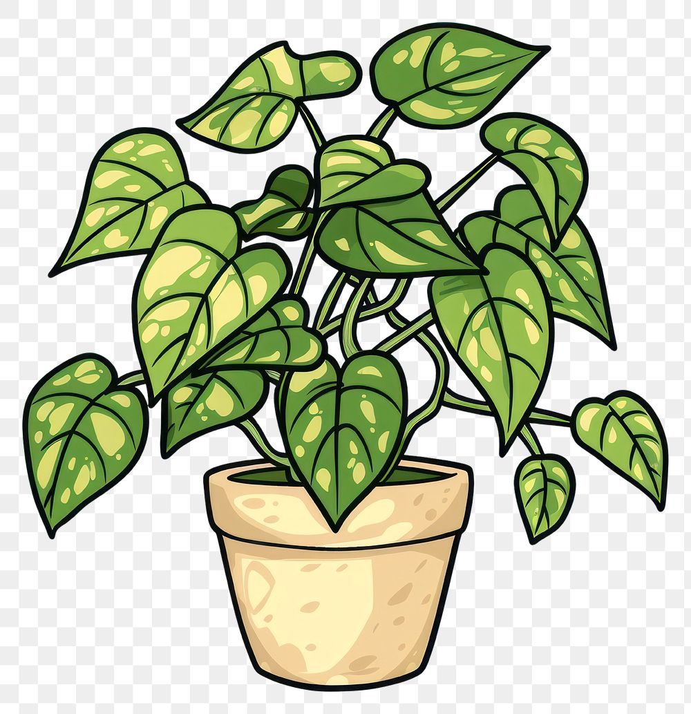 PNG golden pothos cartoon illustration | Free PNG - rawpixel