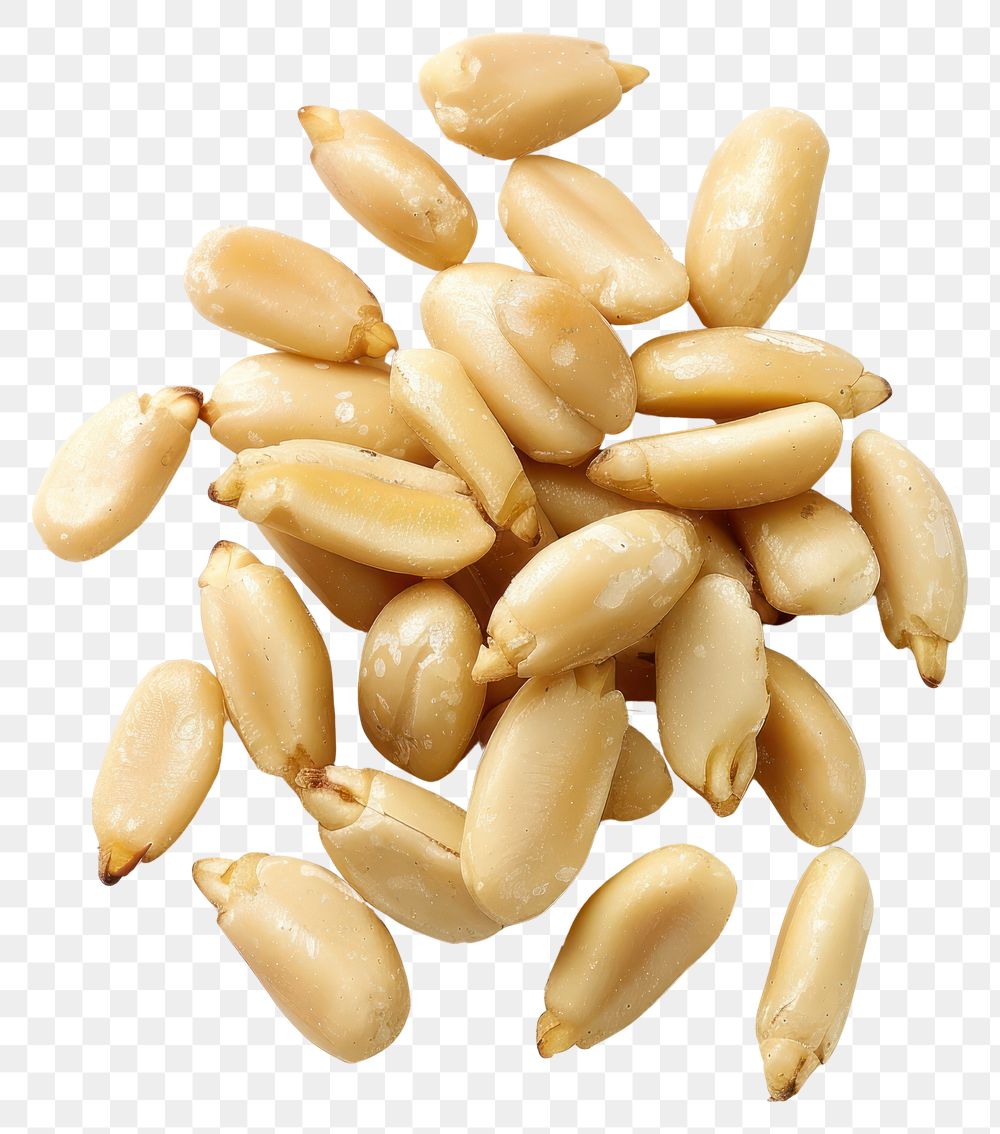 PNG Shelled peanuts on white background