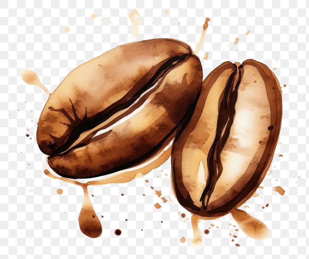 Artistic coffee bean illustration