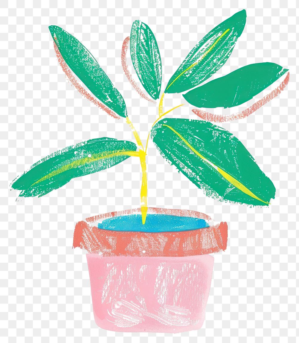 PNG Colorful potted plant illustration