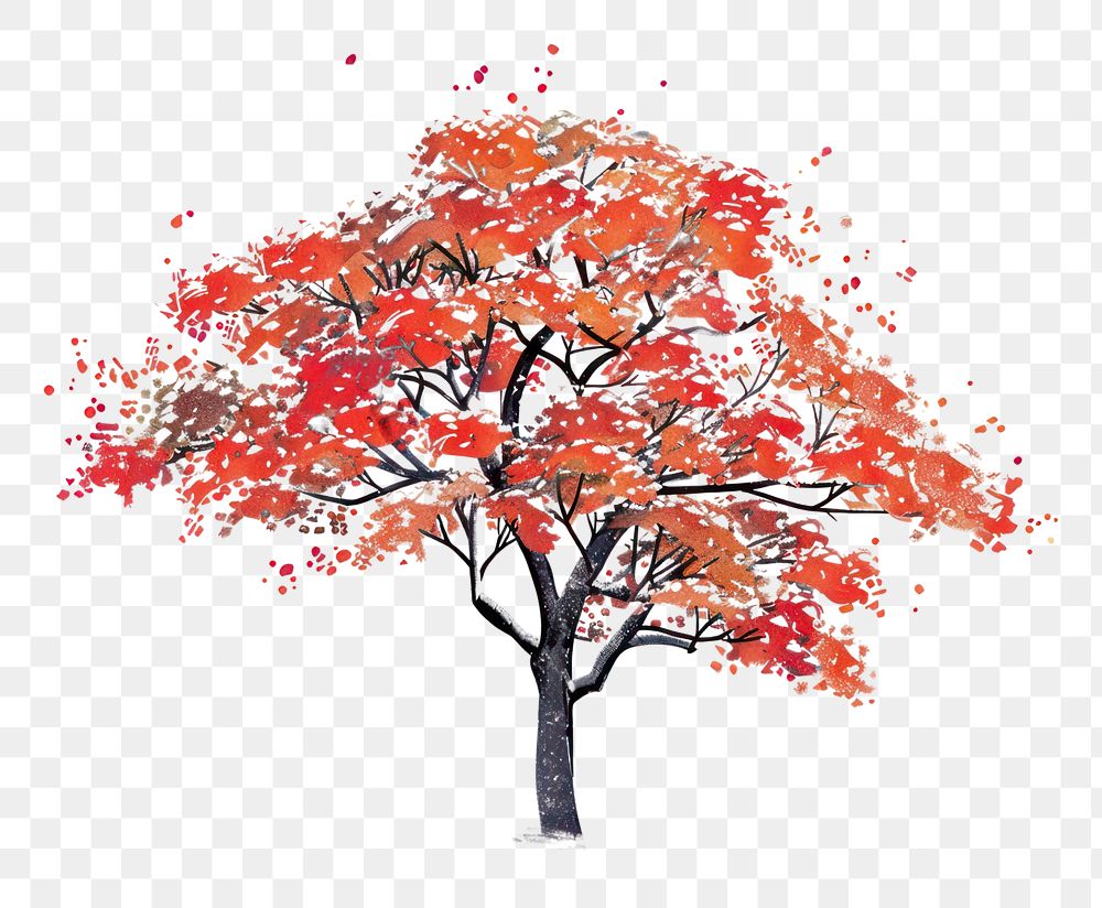 PNG A japanese autumn tree color painting plant maple.