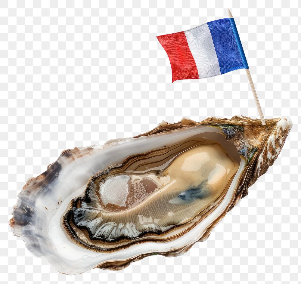 PNG French oyster with flag