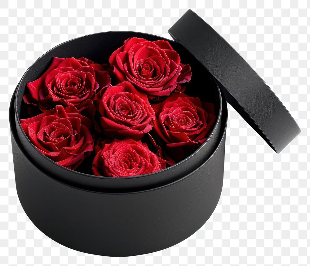 PNG Elegant red roses in box