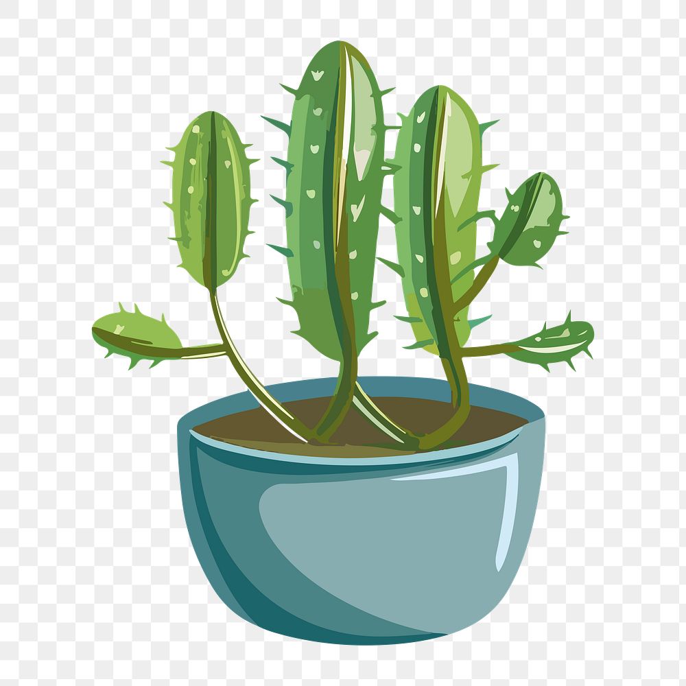 PNG succulent element, transparent background