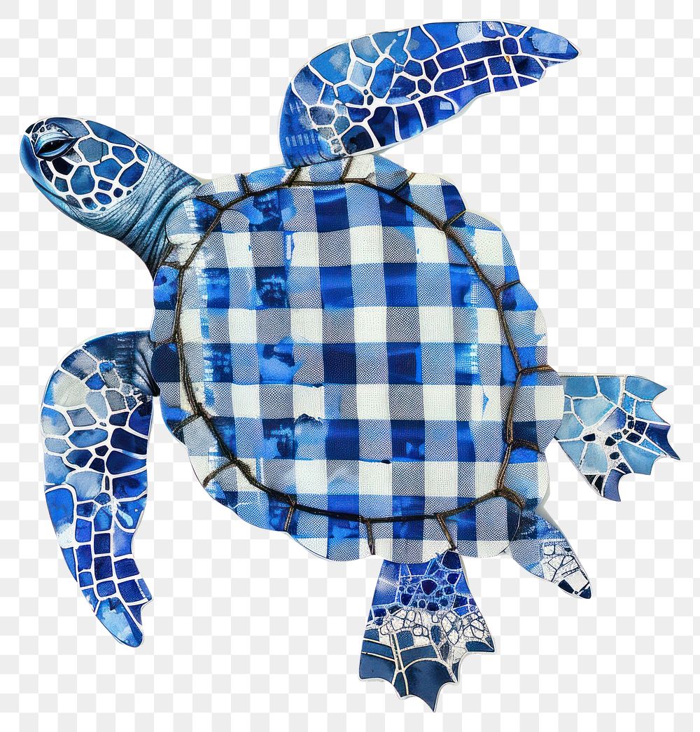 PNG Turtle collage cutout tortoise reptile animal.