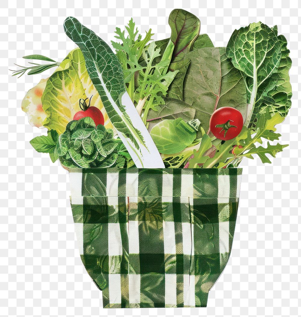 PNG Salad collage cutout green accessories vegetable.