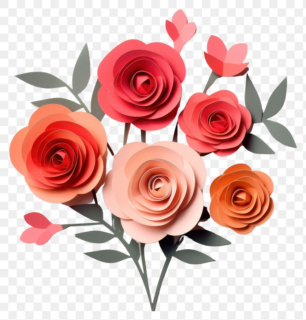 PNG  Rose bouquet flower plant art. 