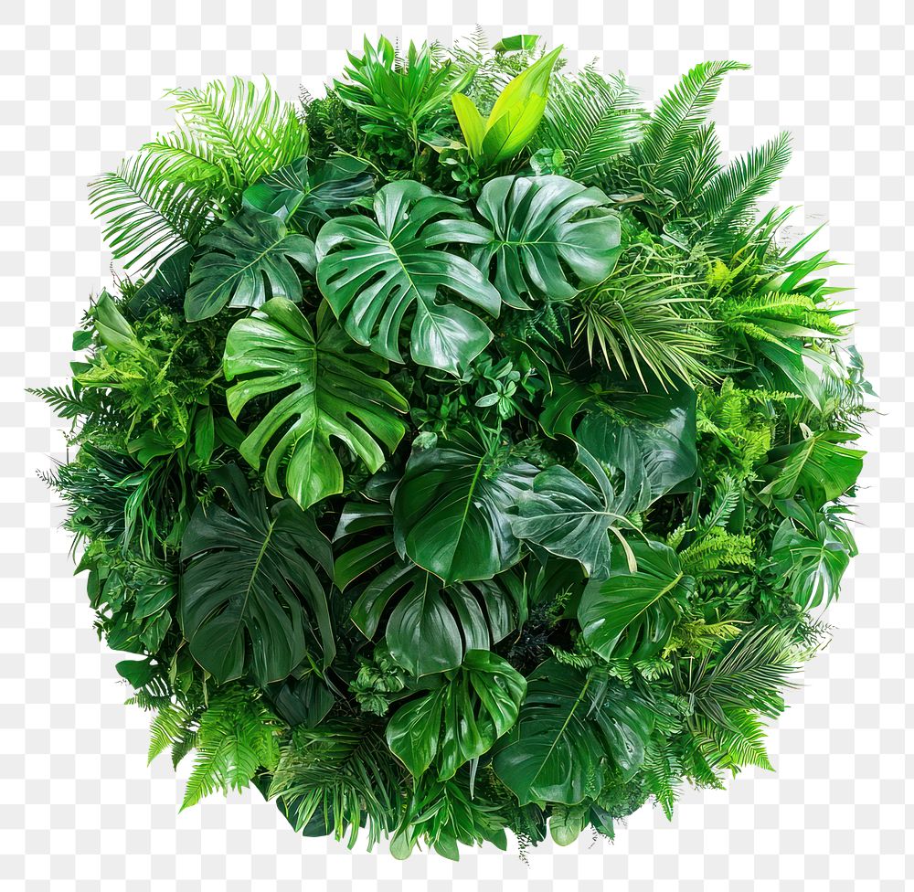 PNG Lush tropical foliage sphere