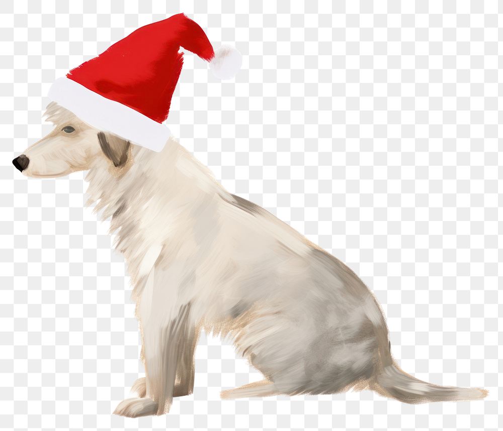 Dog wearing a christmas hat mammal animal pet. 