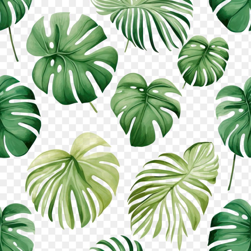 PNG Monstera backgrounds pattern plant. 