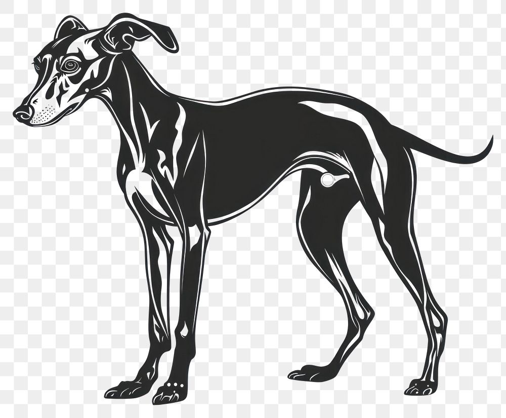 PNG Italian greyhound dog kangaroo wallaby stencil.