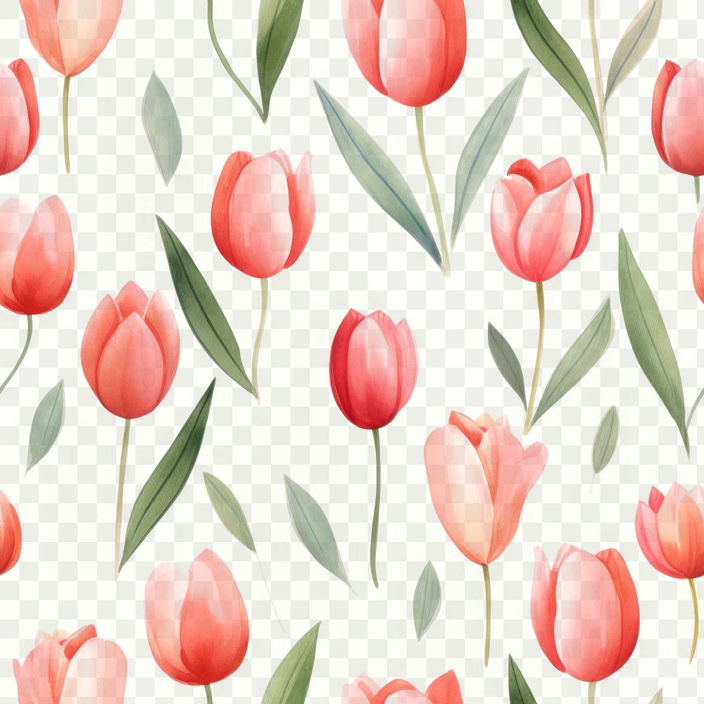 PNG Tulip pattern backgrounds wallpaper. 