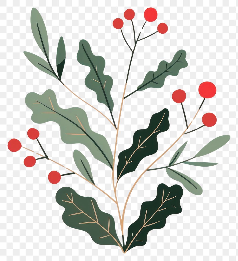 PNG Christmas holly leaves leaf illustration plant.