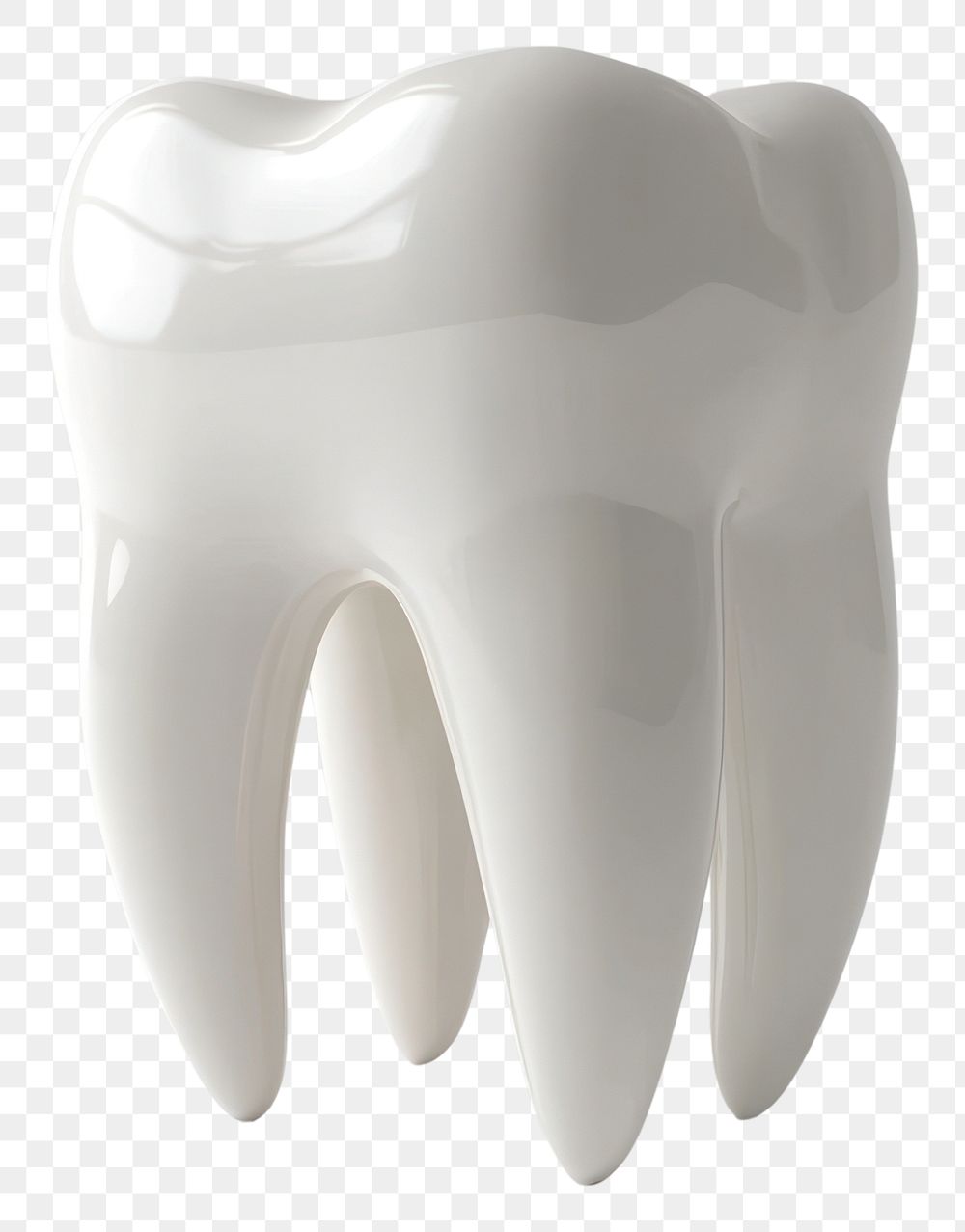 PNG One teeth realistic tooth white.