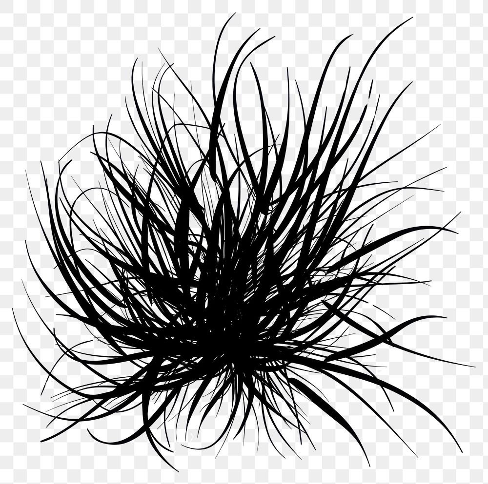 PNG Abstract black grass illustration