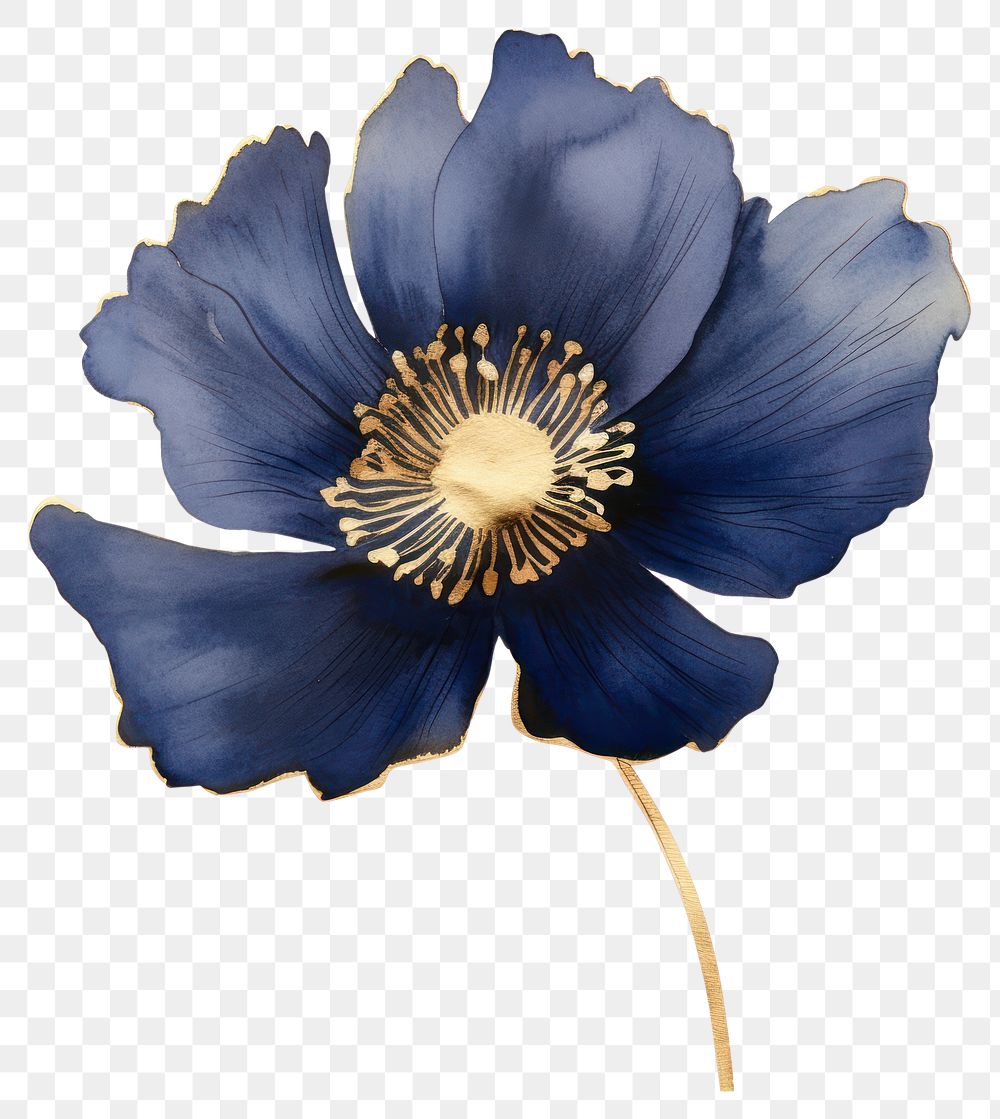 PNG Elegant blue watercolor flower illustration