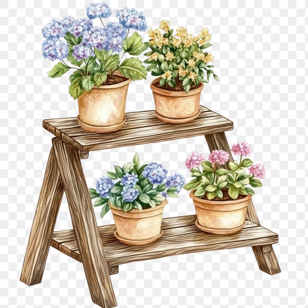 PNG  Wooden ladder flowers art illustration.