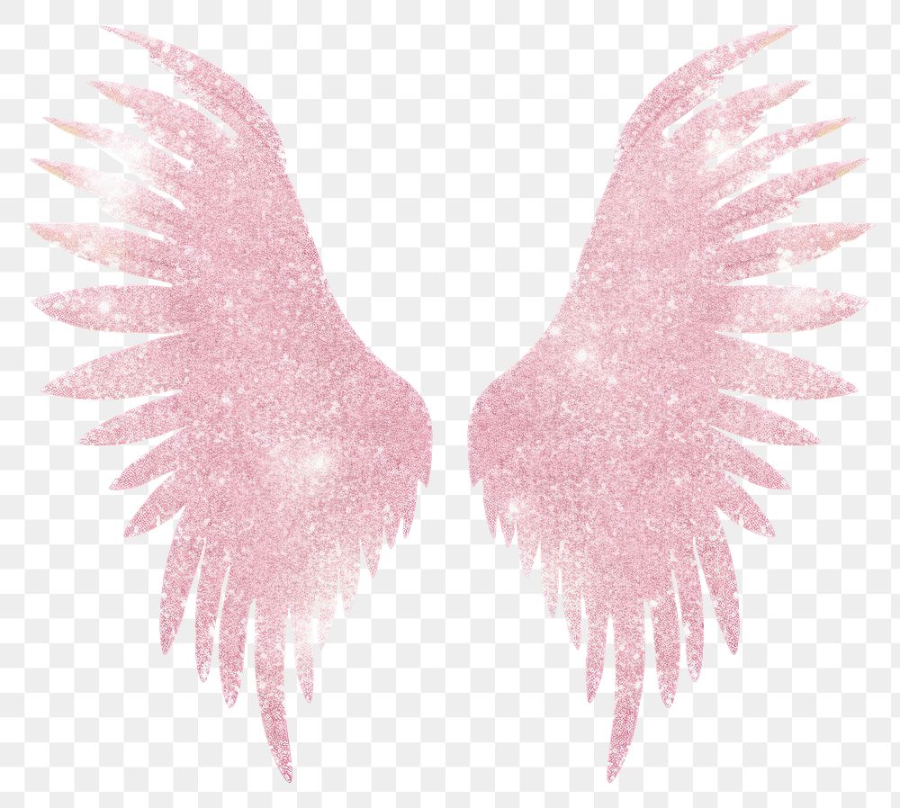 PNG Angel wings icon pink bird 