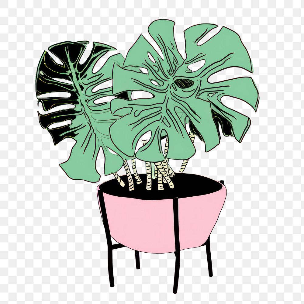 PNG Monstera plant drawing cartoon sketch.