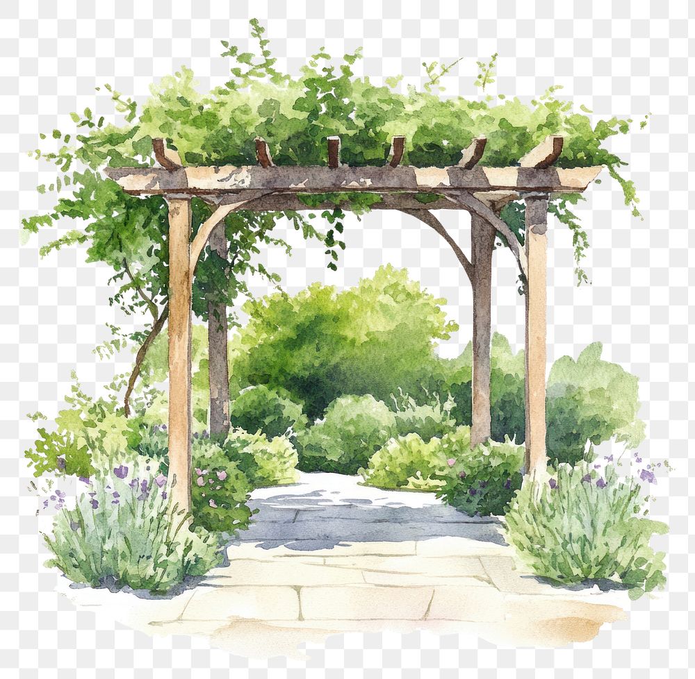 PNG Pergola garden illustration watercolor.