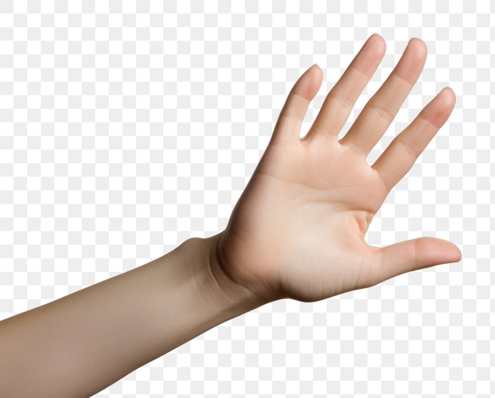 PNG Fingers hand background human.