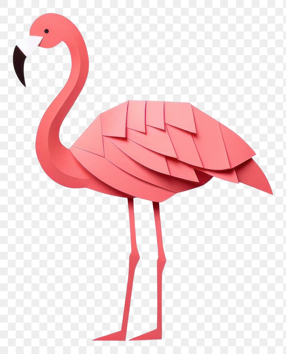 PNG Flamingo animal bird gray background.