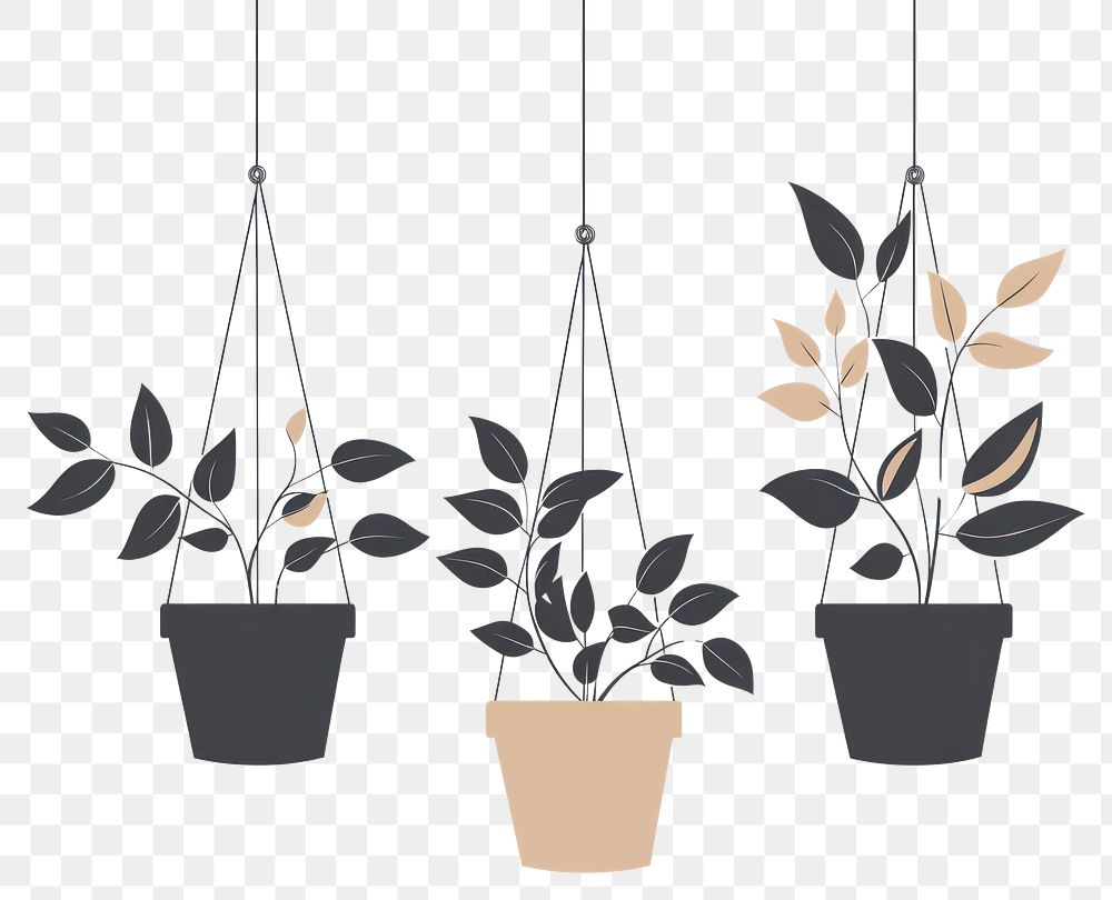 PNG Hanging flower plant pots plants art illustration.