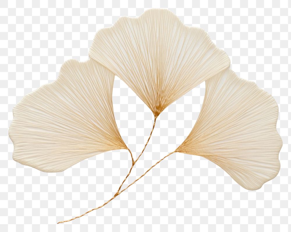 PNG Ginkgo leaf in embroidery style nature-inspired illustration accessories.