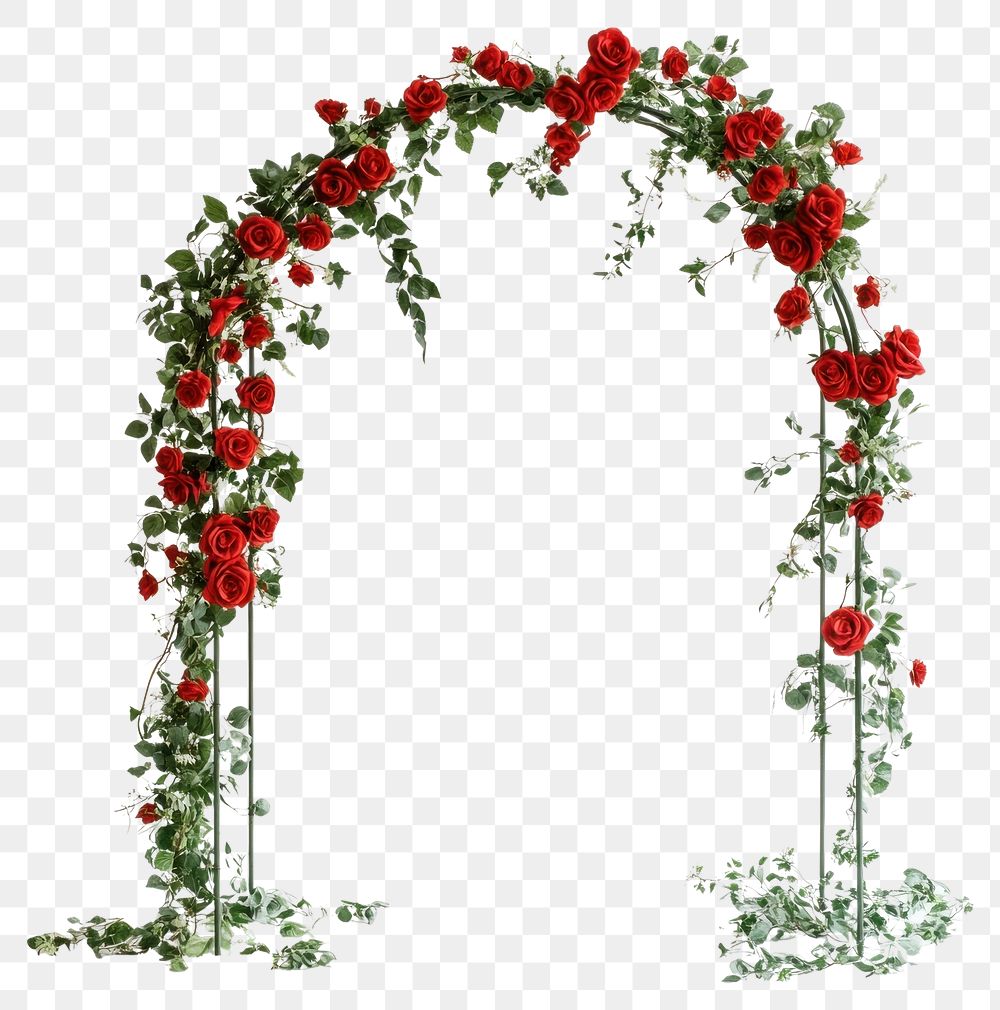 PNG Wedding arches flower roses red.