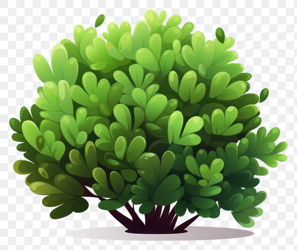 PNG Cartoon boxwood shrub bush illustration green plant.