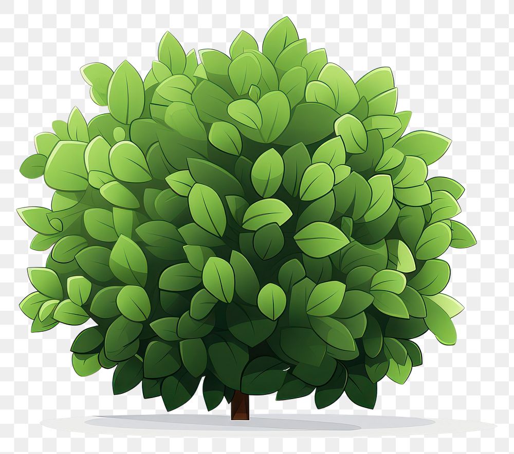 PNG Cartoon shrub bush illustration green plant.